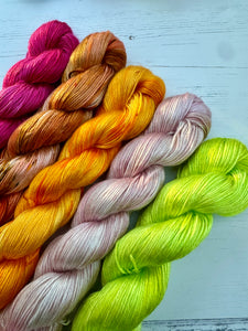 Tencel Full Skeins - Grab Bag - DK Yarn Bundles of 5