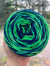 Load image into Gallery viewer, Aurora Borealis - Hand Dyed Yarn